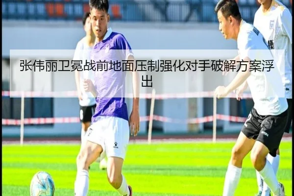 张伟丽卫冕战前地面压制强化对手破解方案浮出